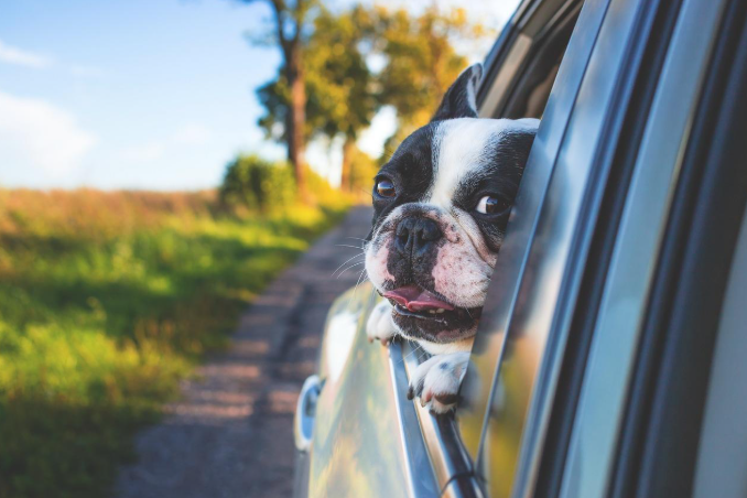Essential Steps to Keep Your Car in Perfect Condition